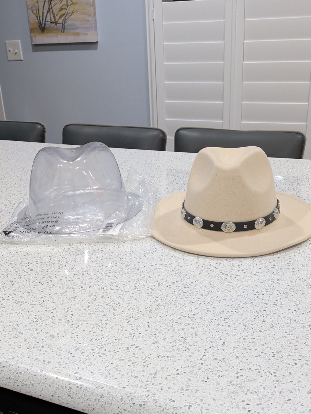 NWT Women Or Men's Cream Felt Cowboy Hat with Decorative Black Band - Picture 6 of 7